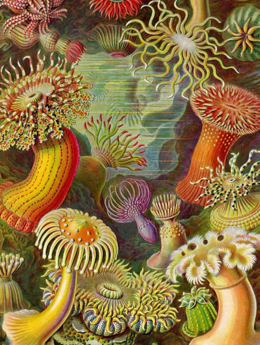 Biology Notebook - Big, Blank, and Beautiful