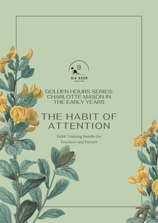 Habit Bundle - Attention DIGITAL DOWNLOAD ONLY